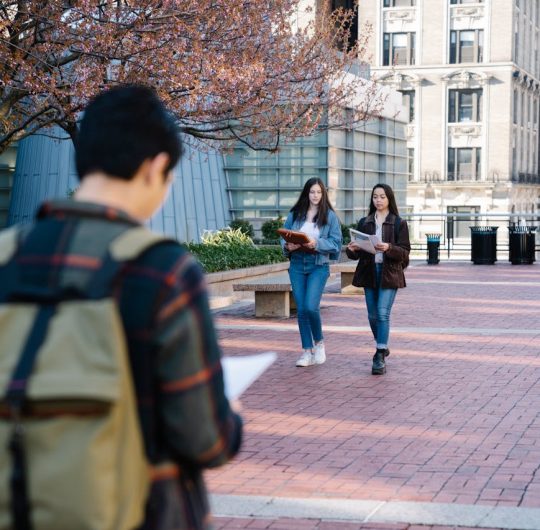 pexels-george-pak-7972373